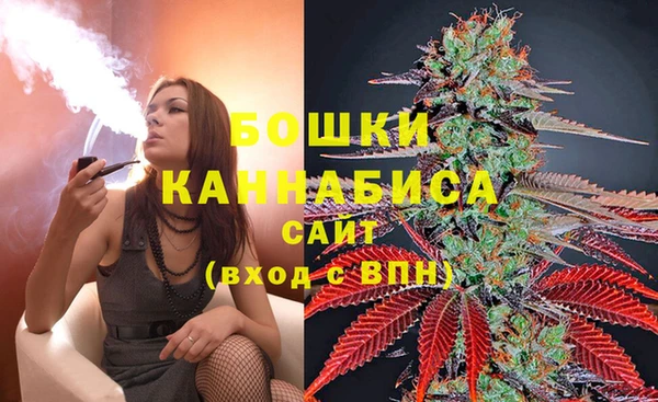 мескалин Михайлов