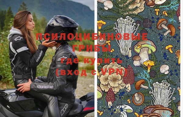 хмурый Долгопрудный